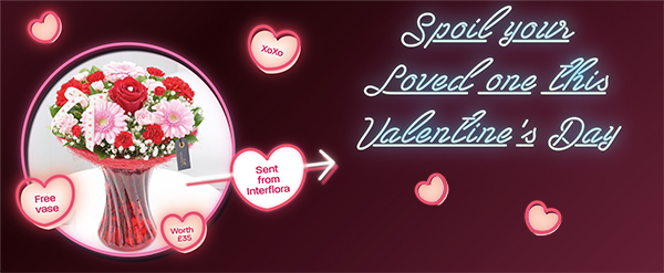 CitySafe Valentine's Day